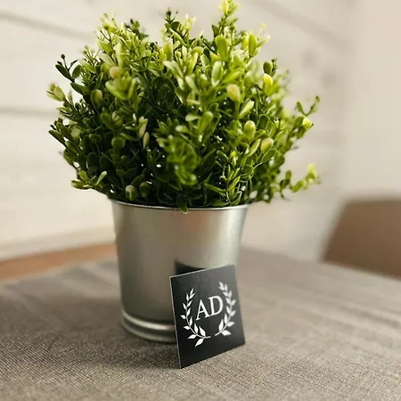 Ad 111 Coladirienzo - By Ad Gasthof Rom